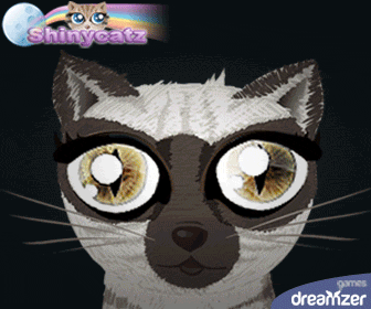 Shinycatz: gioco gratis su Internet, allevare un gatto